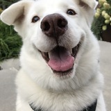 Entry image for Link