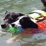 Entry image for Akira & Miles