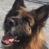 Entry image for Hugo