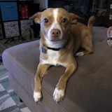 Entry image for Pocket 