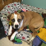 Entry image for Brunhilde