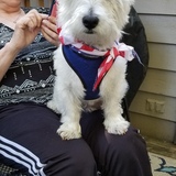 Entry image for Winston