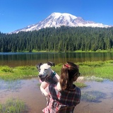 Entry image for Presley