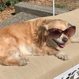 Entry image for Mabel