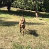 Entry image for Beets