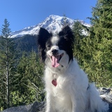 Entry image for Kirby