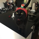 Entry image for Pablo