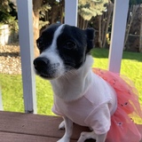 Entry image for Olive