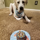 Entry image for Horton