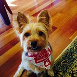 Entry image for Bentley