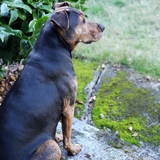 Entry image for Katie