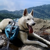 Entry image for Bowen 