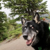 Entry image for Jake