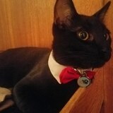 Entry image for Riku