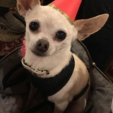 Entry image for Harlow