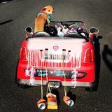 Entry image for Noodles and Madison 