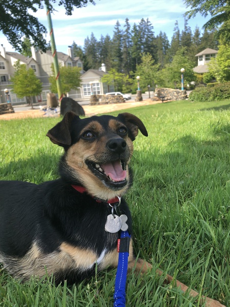 Entry image for skippy . Clicking this image will show a larger photo