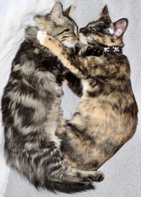 Entry image for Leni & Lucas. Clicking this image will show a larger photo