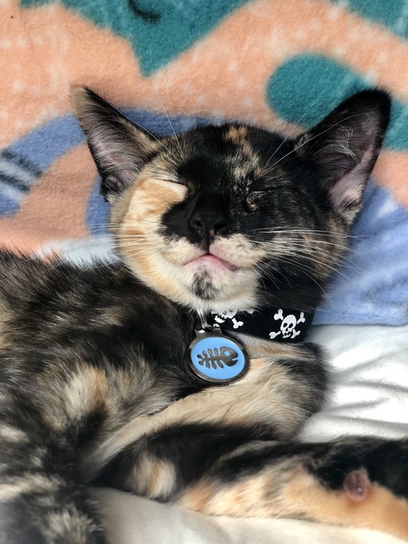 Entry image for Leni. Clicking this image will show a larger photo