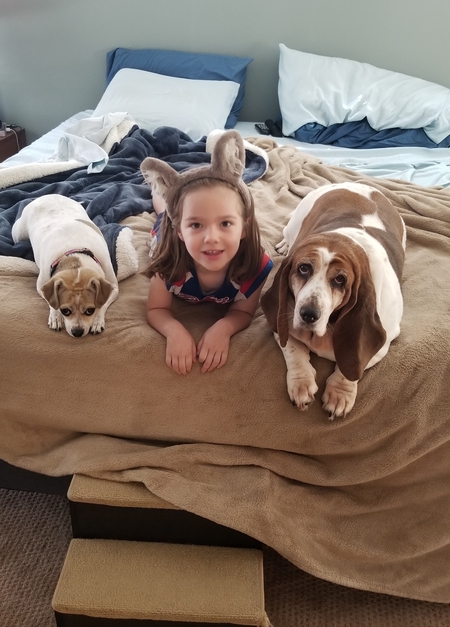 Entry image for Heloise, Abigail and Rosey. Clicking this image will show a larger photo