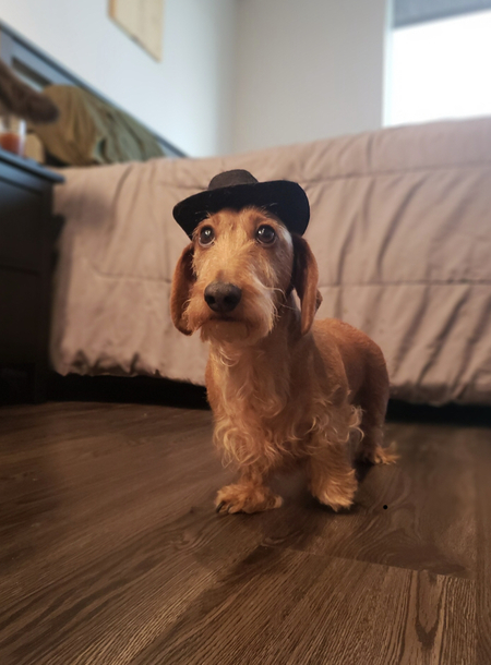 Entry image for Hans. Clicking this image will show a larger photo