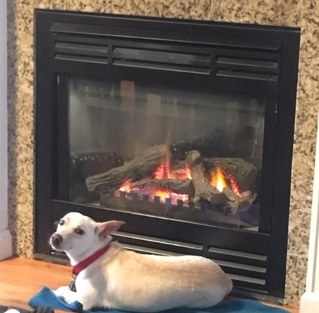 Entry image for Dash. Clicking this image will show a larger photo