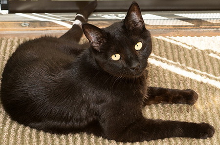 Entry image for Francie. Clicking this image will show a larger photo