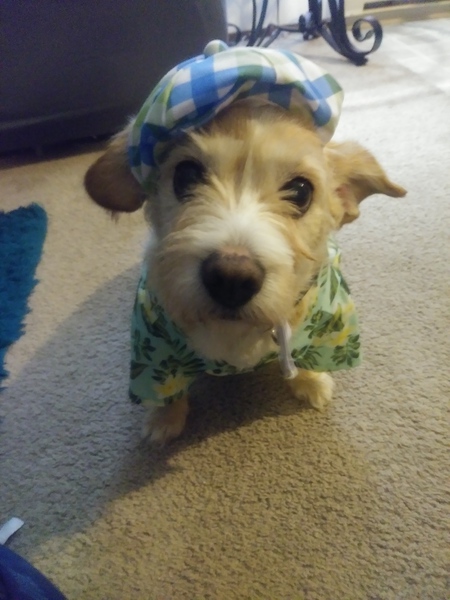 Entry image for Tucker. Clicking this image will show a larger photo