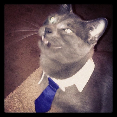 Entry image for Max. Clicking this image will show a larger photo