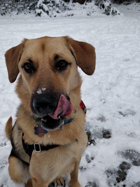 Entry image for Maxton. Clicking this image will show a larger photo