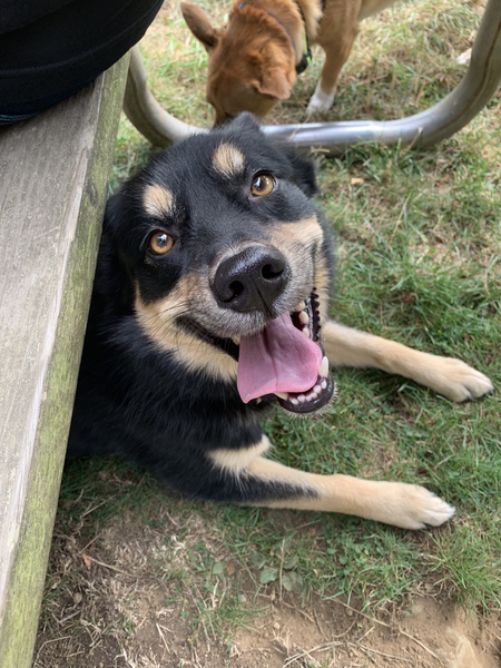 Entry image for Peyton. Clicking this image will show a larger photo