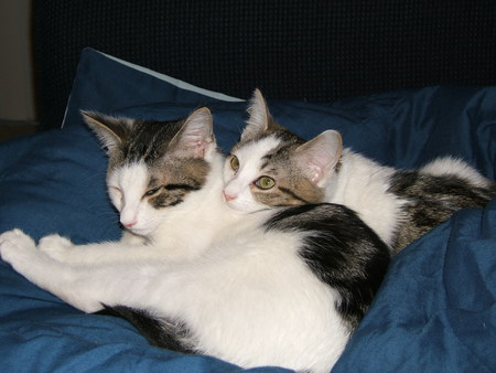 Entry image for Sam (and sister CJ). Clicking this image will show a larger photo