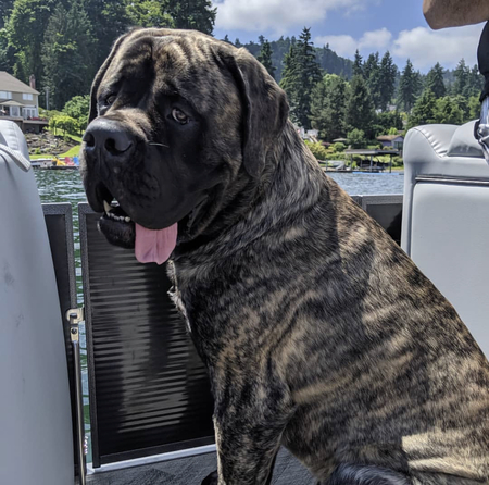 Entry image for Marco. Clicking this image will show a larger photo