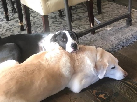 Entry image for Luna & Jhonathan. Clicking this image will show a larger photo