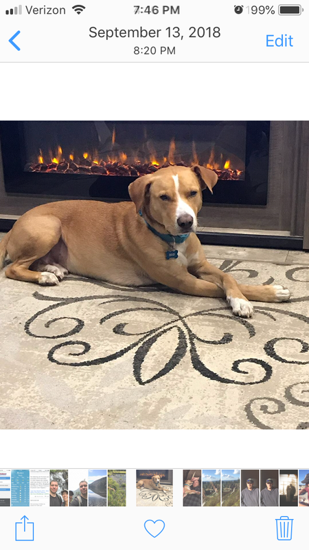 Entry image for Bob. Clicking this image will show a larger photo