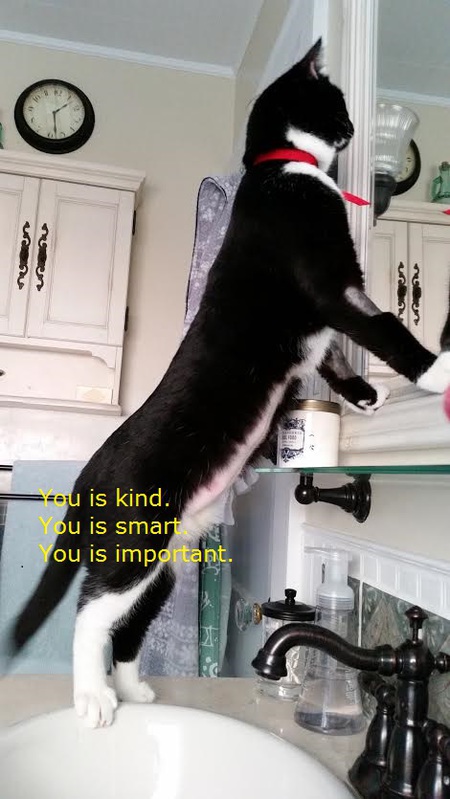 Entry image for Mr. Gru ❤. Clicking this image will show a larger photo