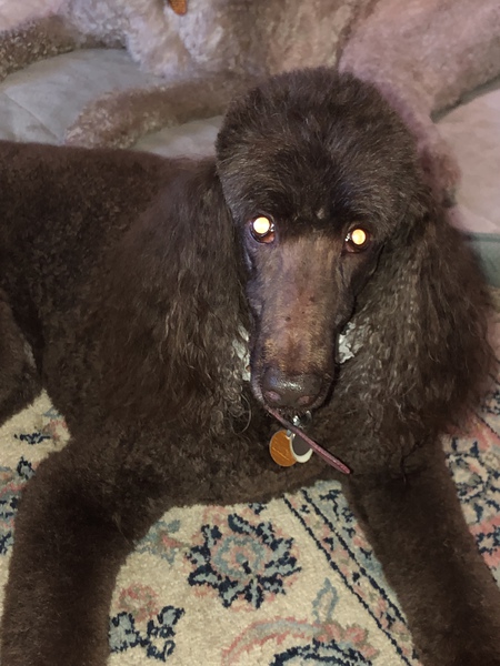 Entry image for Claire. Clicking this image will show a larger photo