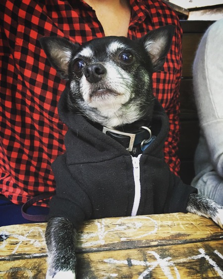 Entry image for Beckham . Clicking this image will show a larger photo