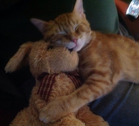 Entry image for Cooper. Clicking this image will show a larger photo