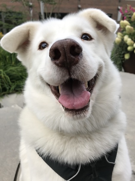 Entry image for Link. Clicking this image will show a larger photo