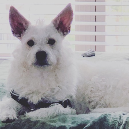 Entry image for Zoe. Clicking this image will show a larger photo