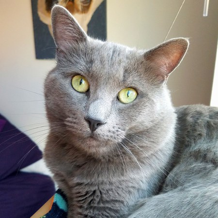 Entry image for Baltimore. Clicking this image will show a larger photo