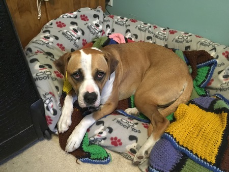 Entry image for Brunhilde. Clicking this image will show a larger photo