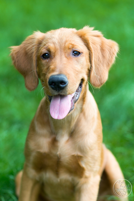 Entry image for Wyatt. Clicking this image will show a larger photo