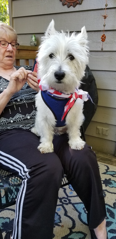 Entry image for Winston. Clicking this image will show a larger photo