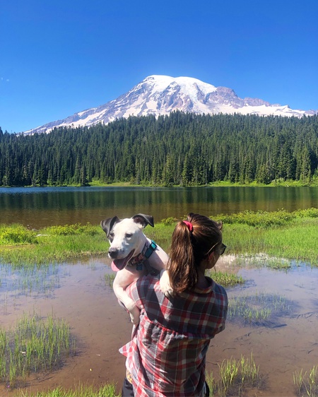 Entry image for Presley. Clicking this image will show a larger photo