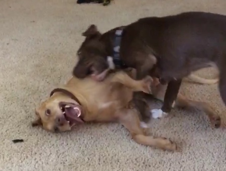 Entry image for Maui. Clicking this image will show a larger photo