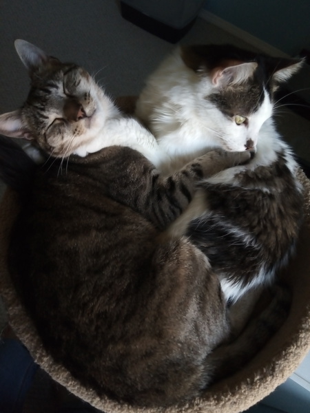 Entry image for Charlie and Dave. Clicking this image will show a larger photo