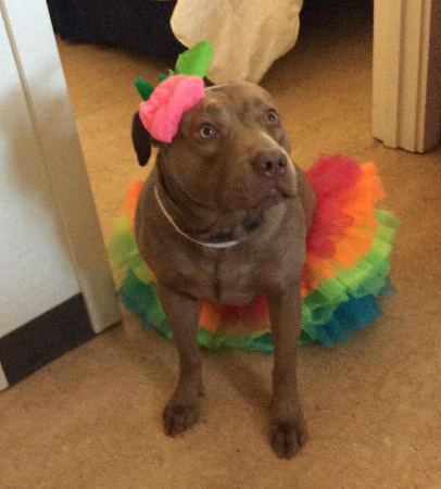 Entry image for Nala Harris . Clicking this image will show a larger photo