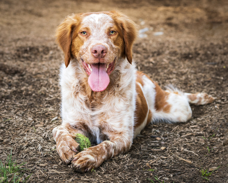 Entry image for Macbeth. Clicking this image will show a larger photo